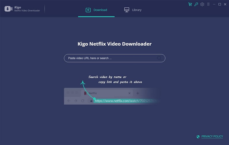 Netflix Downloader Interface